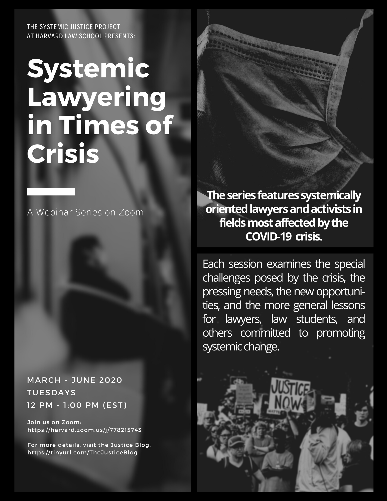 Systemic Lawyering Series Flyer