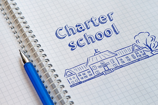 Charter Schools: Deep Capture of Education in Detroit